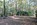 Friedhof Neupetershain