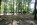 Friedhof Neupetershain